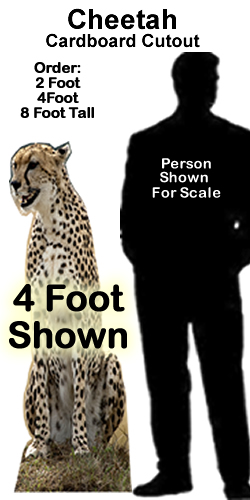 Cheetah Cardboard Cutout Standup Prop Cheetah Cardboard Cutout Standup Prop